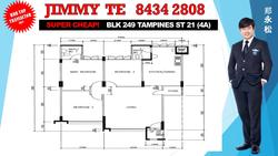 Blk 249 Tampines Street 21 (Tampines), HDB 4 Rooms #113456362